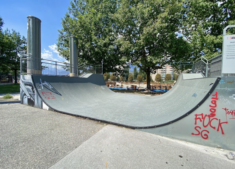 Sion skatepark